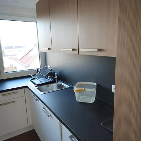 Modern Apartment, Luxury Meets Coziness Appartement Eschenbach